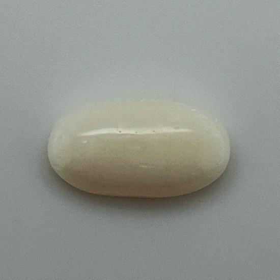 White Coral (Safed Moonga)  7.23 Ct Good Quality